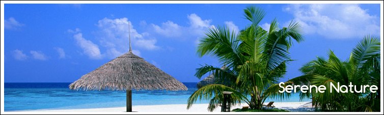 tour and travel companies in india